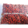 NINGXIA GOJI BERRIES